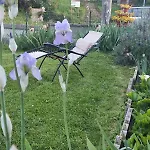 Гостевой дом La Casa Di Elena *