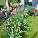 La Casa Di Elena * Камерино