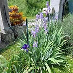La Casa Di Elena Гостевой дом Камерино
