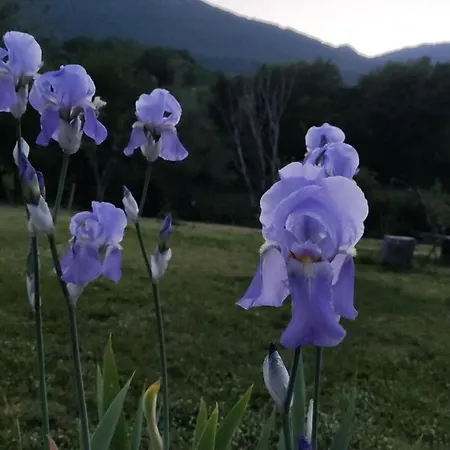 La Casa Di Elena *