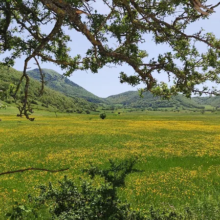 Affittacamere La Casa Di Elena Camerino