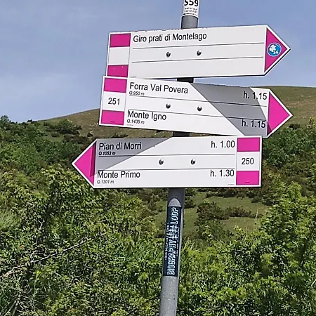 Affittacamere La Casa Di Elena