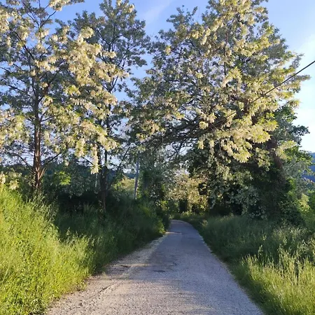 La Casa Di Elena Gasthuis