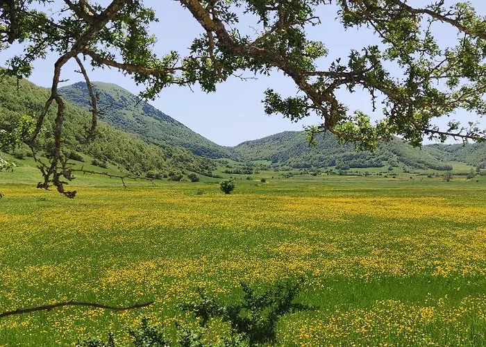 Affittacamere La Casa Di Elena Camerino
