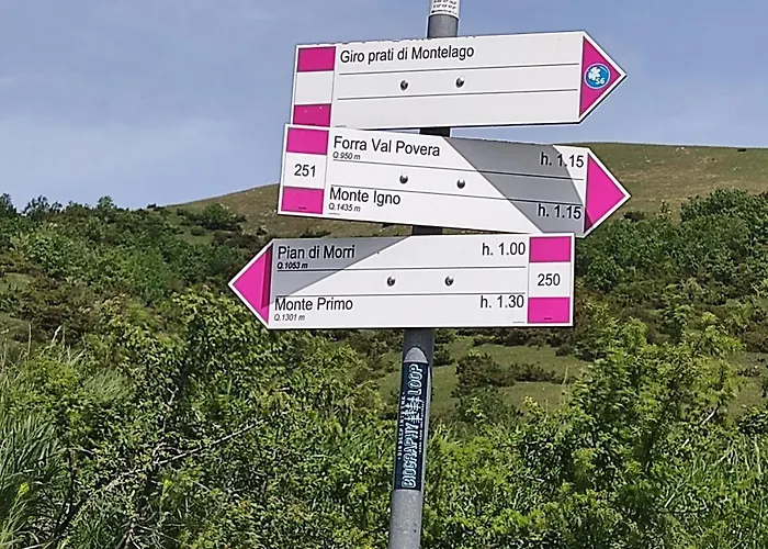 Affittacamere La Casa Di Elena