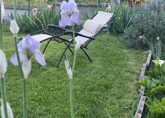 Affittacamere La Casa Di Elena *