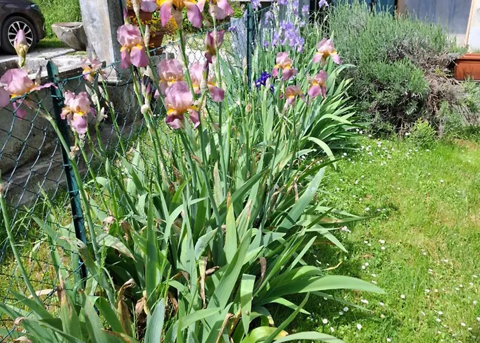 La Casa Di Elena * Camerino